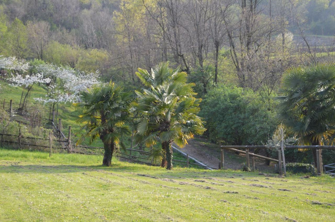 Concesio Cascina Valsorda Bed & Breakfast エクステリア 写真