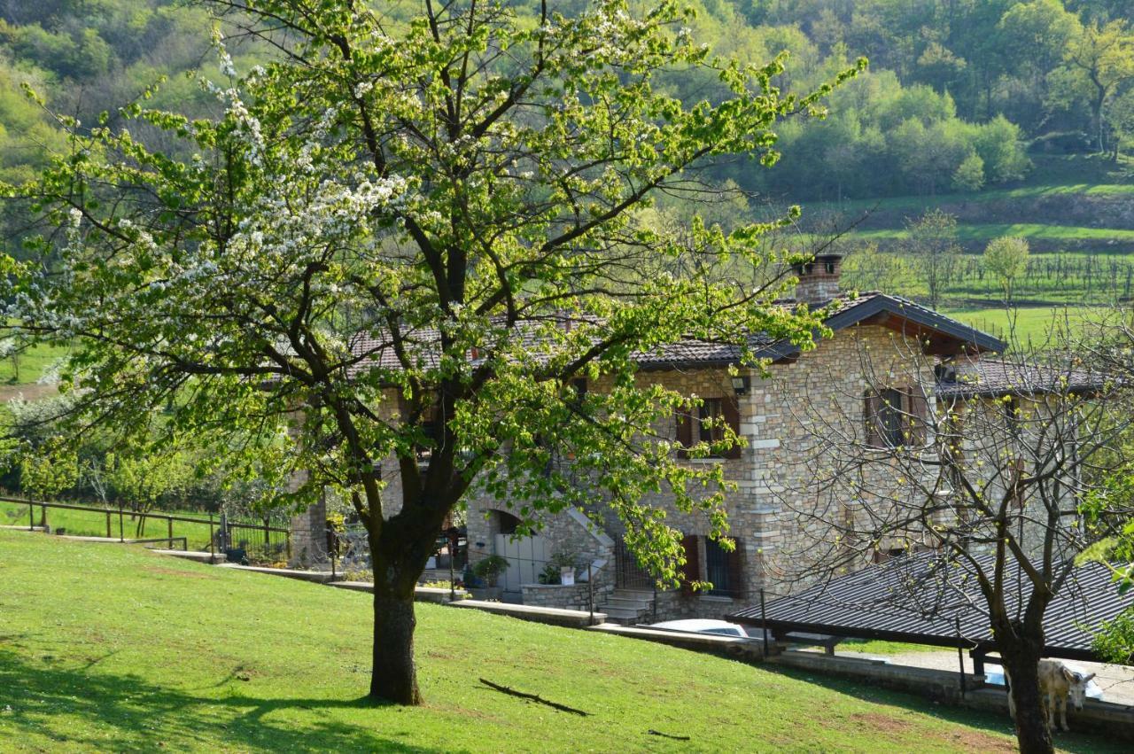 Concesio Cascina Valsorda Bed & Breakfast エクステリア 写真