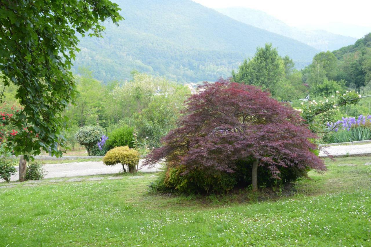 Concesio Cascina Valsorda Bed & Breakfast エクステリア 写真