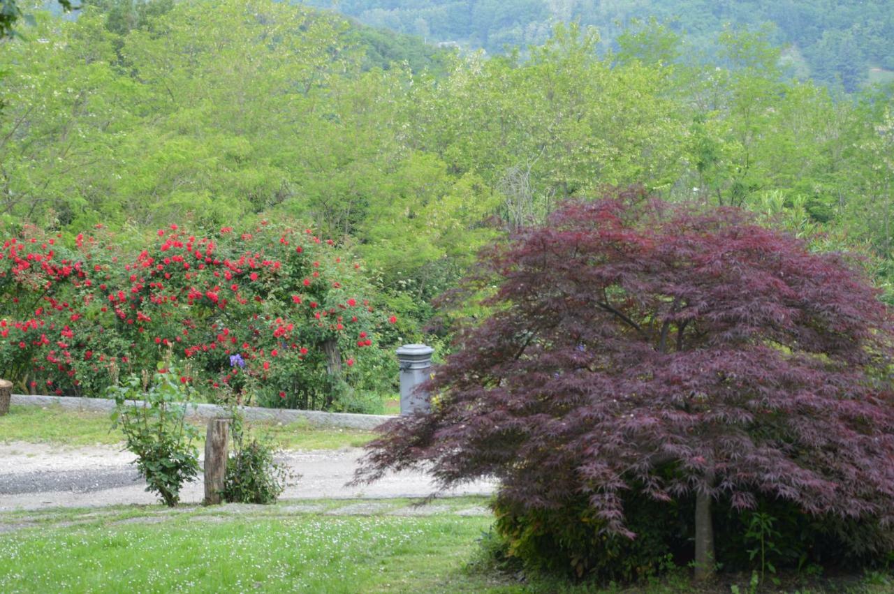 Concesio Cascina Valsorda Bed & Breakfast エクステリア 写真